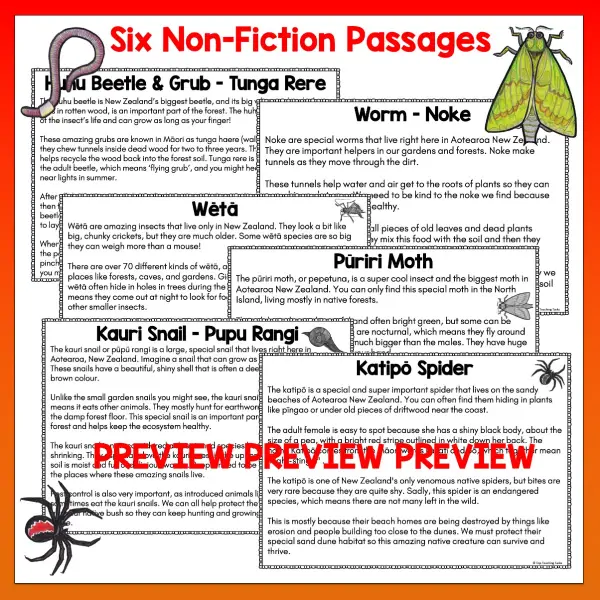 Mini beasts Year 4 Task Cards Volume 2 a Mini beasts Year 4 Task Cards Volume 2 a