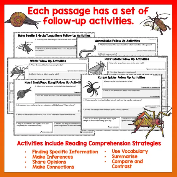Mini beasts Year 4 Task Cards Volume 2 b Mini beasts Year 4 Task Cards Volume 2 b