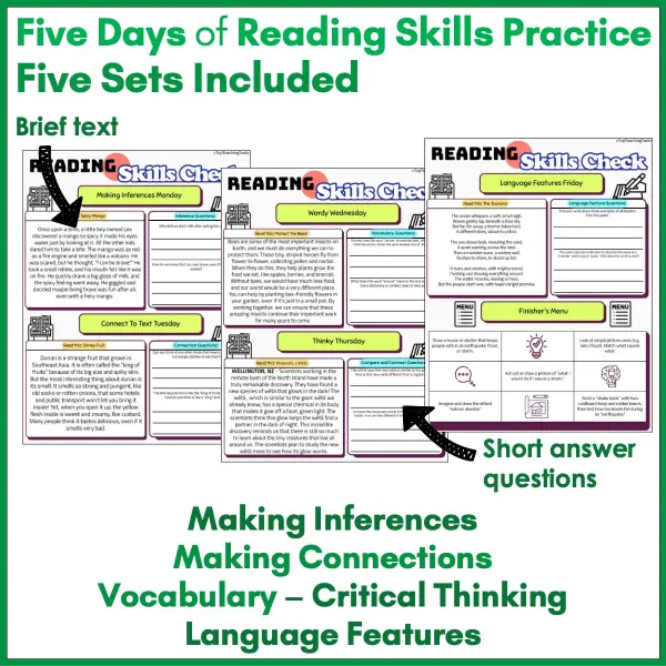 Reading Skills Practice Activities Year 4 Set B b Reading Skills Practice Activities Year 4 Set B b