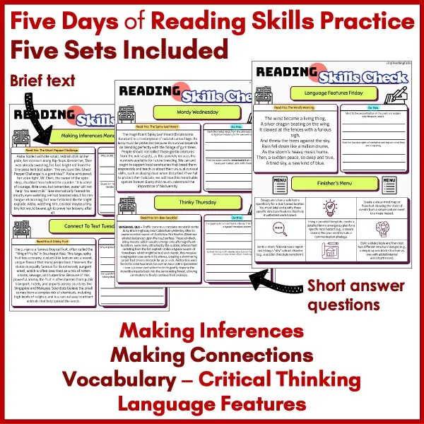 Reading Skills Practice Activities Year 5 b Reading Skills Practice Activities Year 5 b