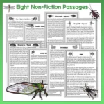 Mini beasts 5-8 Reading Activities a