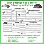Mini beasts 5-8 Reading Activities b
