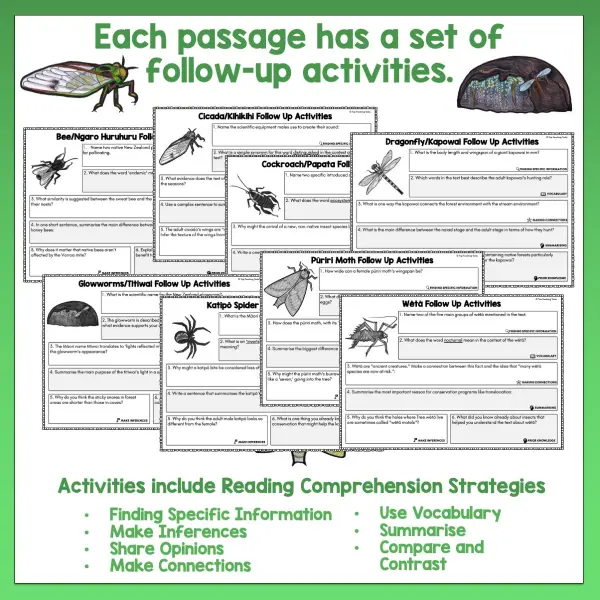 Mini beasts 5-8 Reading Activities b Mini beasts 5-8 Reading Activities b