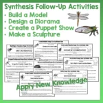 Mini beasts 5-8 Reading Activities c