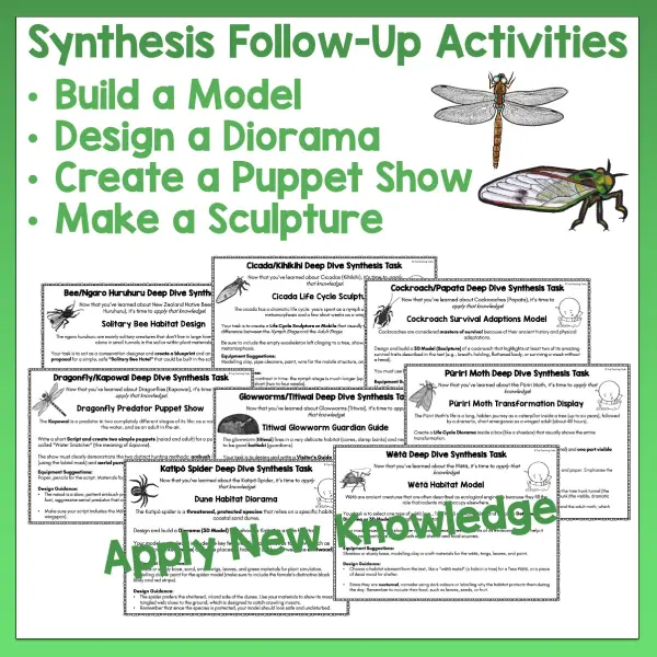 Mini beasts 5-8 Reading Activities c Mini beasts 5-8 Reading Activities c