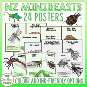 Minibeasts A5 Poster Set | English, Te Reo Māori & Poems (Printable)