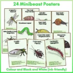 Minibeasts Posters preview a