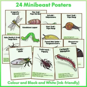 Minibeasts Posters preview a