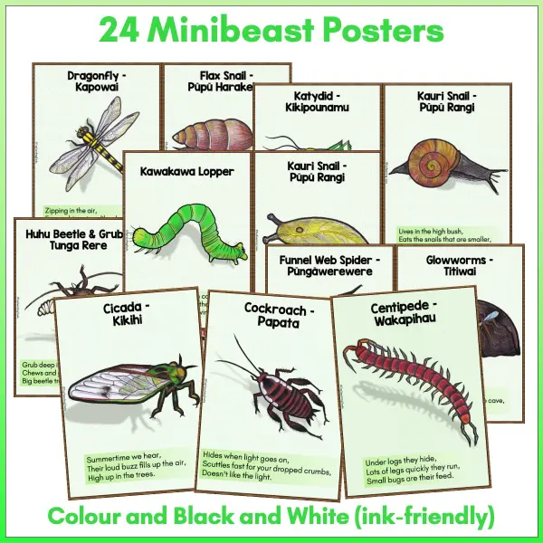 Minibeasts Posters preview a Minibeasts Posters preview a