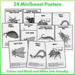 Minibeasts Posters preview b