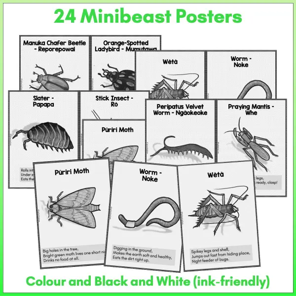 Minibeasts Posters preview b Minibeasts Posters preview b