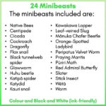 Minibeasts Posters preview c