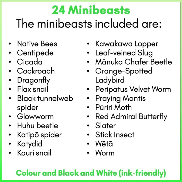 Minibeasts Posters preview c Minibeasts Posters preview c