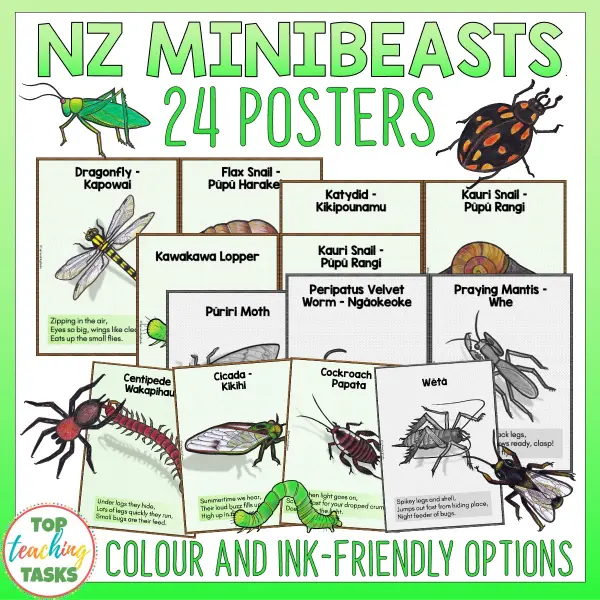 Minibeasts Posters preview Minibeasts Posters preview