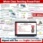 Spotting Kiwi Year 4 November 2025 whole class b