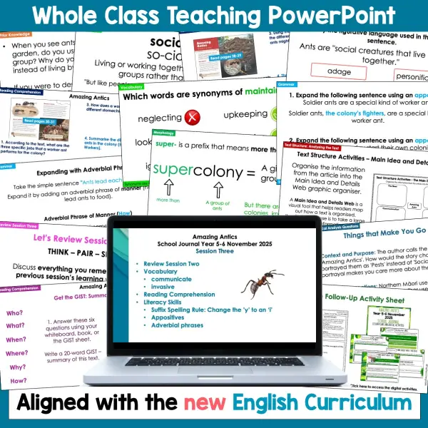 Amazing Antics School Journal Year 5-6 November 2025 Whole Class b Amazing Antics School Journal Year 5-6 November 2025 Whole Class b