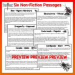 Mini beasts Year 4 Task Cards Digital Volume 1 a