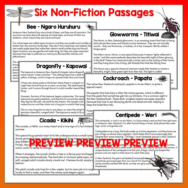 Mini beasts Year 4 Task Cards Digital Volume 1 a Mini beasts Year 4 Task Cards Digital Volume 1 a