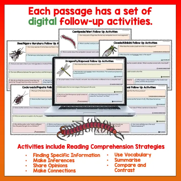 Mini beasts Year 4 Task Cards Digital Volume 1 b Mini beasts Year 4 Task Cards Digital Volume 1 b