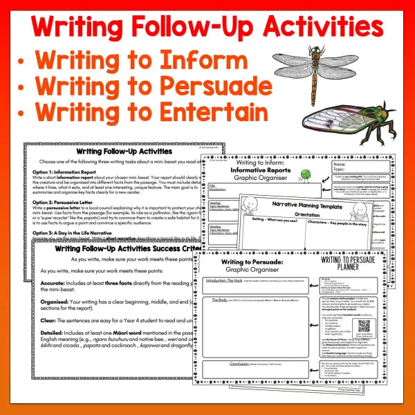 Mini beasts Year 4 Task Cards Digital Volume 1 c Mini beasts Year 4 Task Cards Digital Volume 1 c