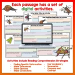 Mini beasts Year 4 Task Cards Digital Volume 2 b