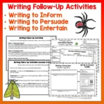 Mini beasts Year 4 Task Cards Digital Volume 2 c