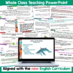 Paikea and the Whale Whole Class Reading and Writing b