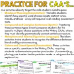 Year 9 Set One Daily Literacy Skills Planner d