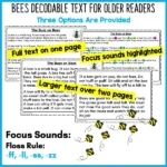 The Buzz about Bees Decodable Text and Activities for Older Readers a