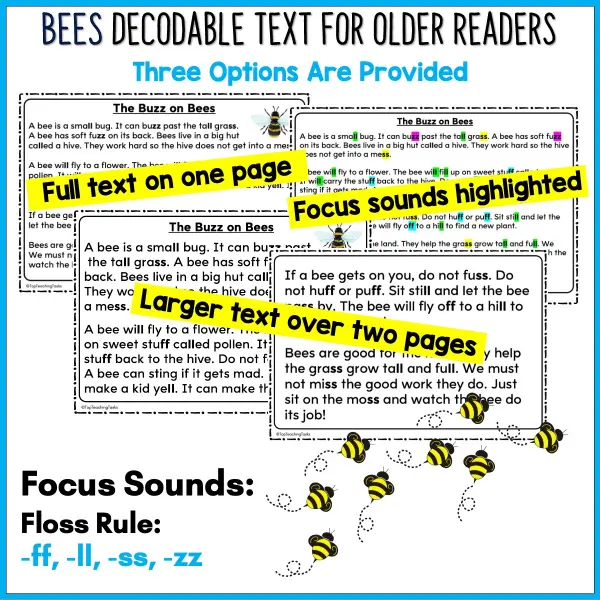 The Buzz about Bees Decodable Text and Activities for Older Readers a The Buzz about Bees Decodable Text and Activities for Older Readers a