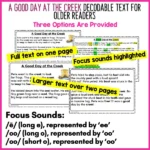 A Good Day at the Creek Decodable Text and Activities for Older Readers a