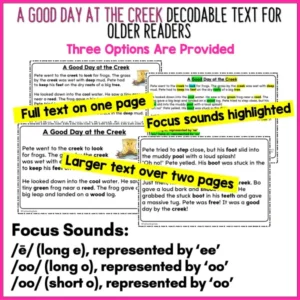 A Good Day at the Creek Decodable Text and Activities for Older Readers a