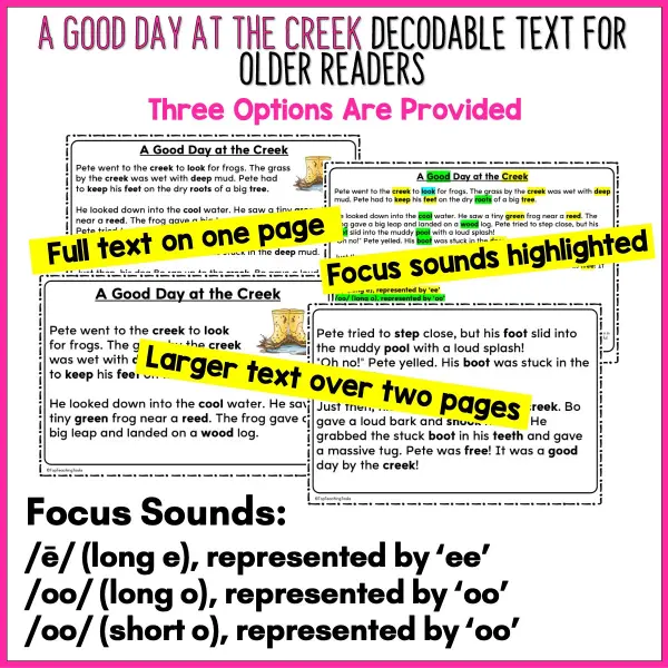 A Good Day at the Creek Decodable Text and Activities for Older Readers a A Good Day at the Creek Decodable Text and Activities for Older Readers a