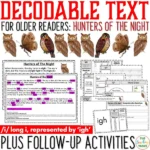 Hunters of the Night Decodable Text and Activities for Older Readers