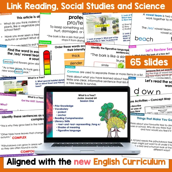 What is a Tree Junior Journal 64 Whole Class b What is a Tree Junior Journal 64 Whole Class b