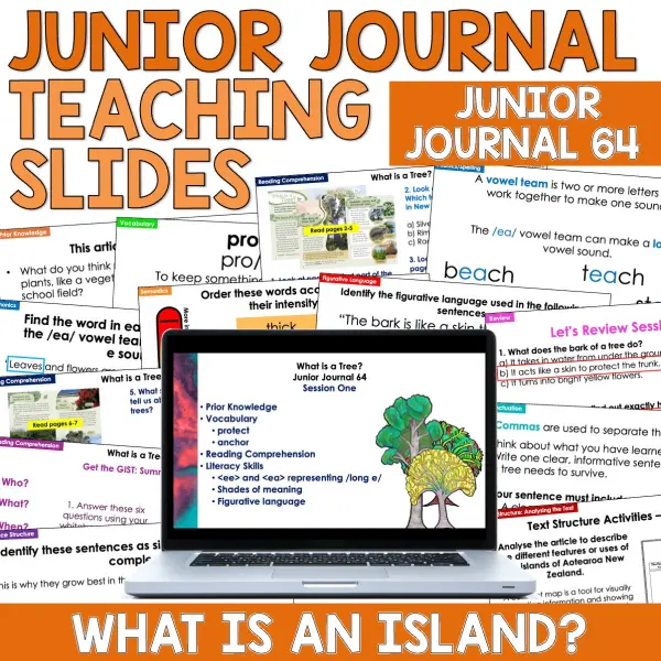 What is a Tree Junior Journal 64 Whole Class