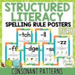 Phonological awareness activities consonant patterns preview