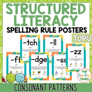 Structured Literacy Consonant Patterns Posters (Set 2) | Tupu