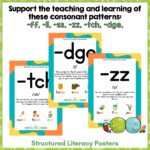 Phonological awareness activities consonant patterns preview. b