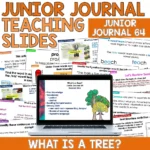 What is a tree