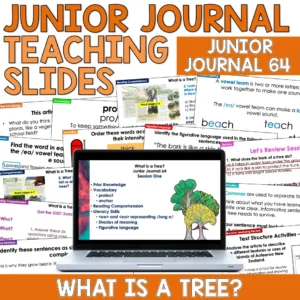 Whole Class Junior Journal 64 Resource Year 3: What is a Tree?