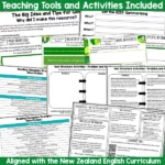 A User's Guide to the Brain activities c
