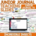 Incredible Insects Junior Journal 70 Whole Class