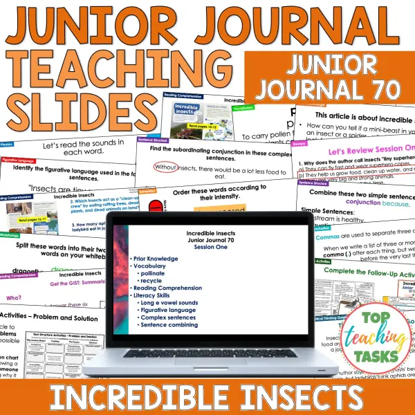 Incredible Insects Junior Journal 70 Whole Class Incredible Insects Junior Journal 70 Whole Class