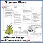 Junior Journal 70 activities b