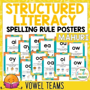 Structured Literacy Vowel Teams Posters (Set 4) | Māhuri