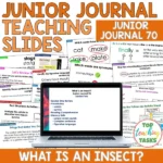 What is an Insect Junior Journal 70 Whole Class