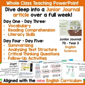 What is an Insect Junior Journal 70 Whole Class a