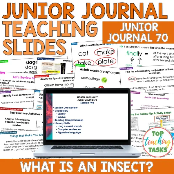 What is an Insect Junior Journal 70 Whole Class What is an Insect Junior Journal 70 Whole Class
